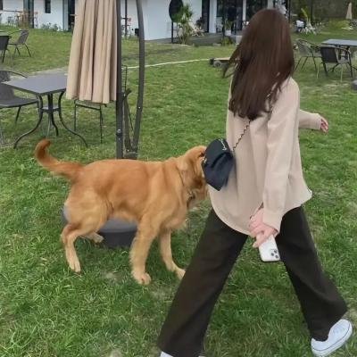 小战争